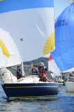 saraband gbr8314n ss13 sat 0994